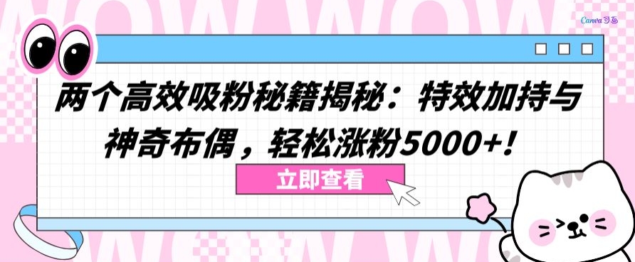 两个高效吸粉秘籍揭秘：特效加持与神奇布偶，轻松涨粉5000+