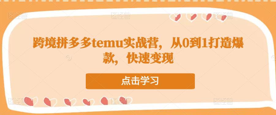 跨境拼多多temu实战营，从0到1打造爆款，快速变现