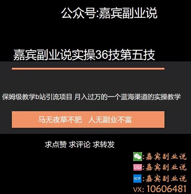 嘉宾副业说实操36技第五技：保姆级教学b站引流项目，月入过万的一个蓝海渠道的实操教学