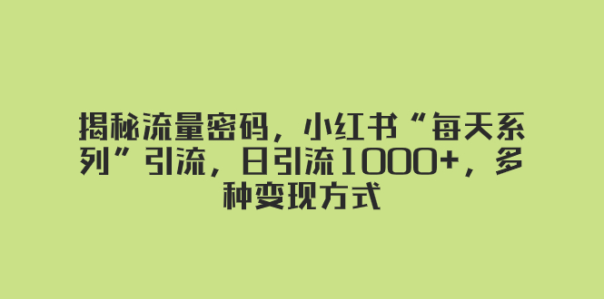 （8179期）揭秘流量密码，小红书“每天系列”引流，日引流1000+，多种变现方式