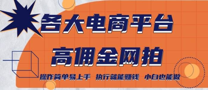 各大电商平台高佣金网拍，操作简单易上手，执行就能赚钱，小白也能做