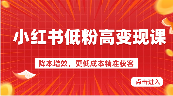 小红书低粉高变现课-降本增效，更低成本精准获客，小红书必爆的流量密码