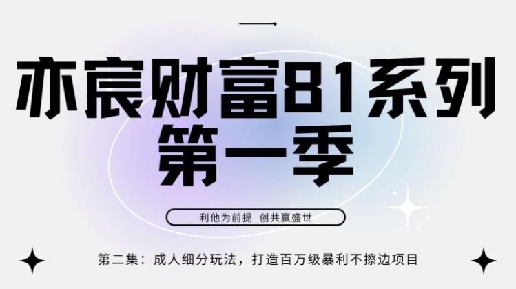 亦宸财富81系列第1季第2集：成人细分玩法，打造百万级暴利不擦边项目