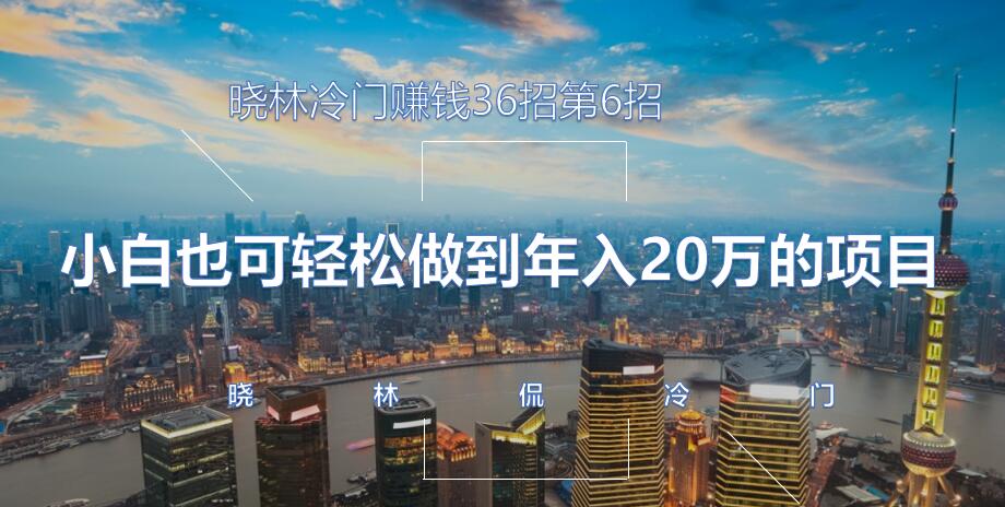 晓林冷门赚钱36招第6招小白也可轻松做到年入20万的项目【视频课程】