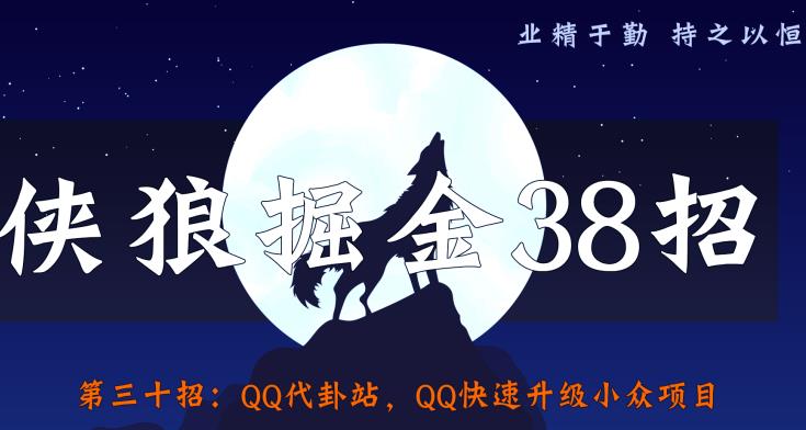 侠狼掘金38招第30招QQ代卦站，QQ快速升级小众项目【视频课程】