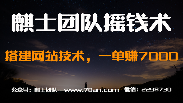 麒士团队摇钱术11：搭建网站技术，一单赚7000【视频课程】