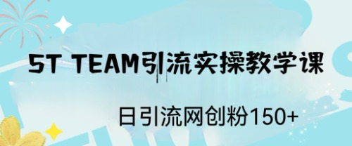 （6578期）ST TEAM引流实操课，日引流网创粉100+