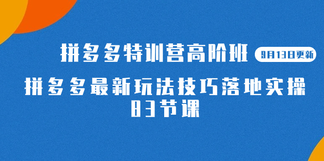 （7295期）2023拼多多·特训营高阶班【9月13日更新】拼多多最新玩法技巧落地实操-83节