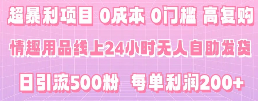 超暴利项目，情趣用品线上24小时-无人自助发货，0成本，0门槛，高复购