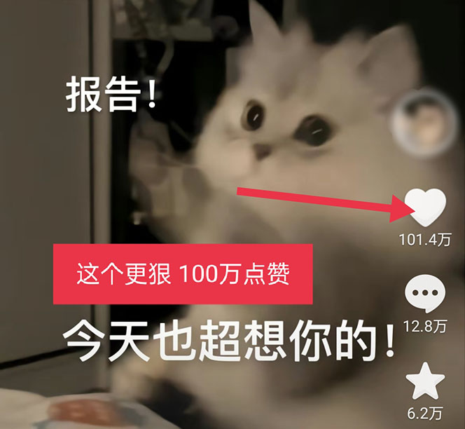 （5498期）黑科技纯原创可爱猫咪图片，全网精准引流，实操5个VX号被加频繁