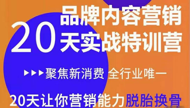 《内容营销实操特训营》20天让你营销能力脱胎换骨（价值3999）