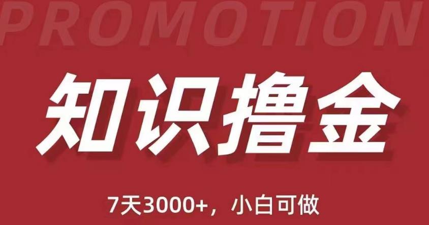 抖音知识撸金项目：简单粗暴日入1000+执行力强当天见收益(教程+资料)