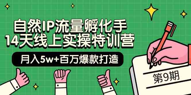 （9881期）自然IP流量孵化手 14天线上实操特训营【第9期】月入5w+百万爆款打造 (74节)