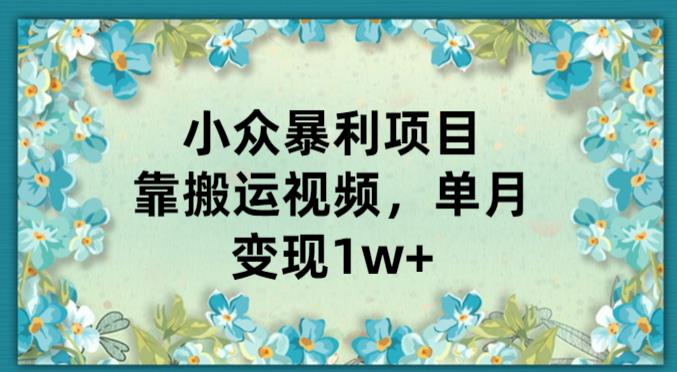 小众暴利项目，靠搬运视频，单月变现1w+