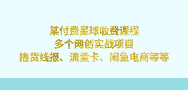 某付费星球课程：多个网创实战项目，撸货线报、流量卡、闲鱼电商等（文档非视频）