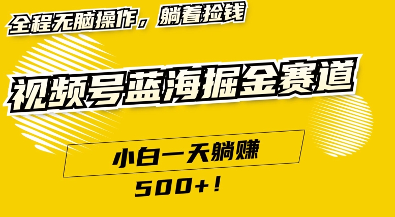 视频号蓝海小众赛道，小白一天躺赚500+，全程无脑操作，保姆式教学