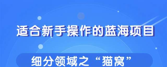 柚子团队内部课程：适合新手操作的细分蓝海项目，宠物赚钱的门道