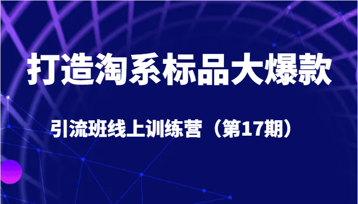 打造淘系标品大爆款引流班线上训练营（第17期）5天直播授课+1个月答疑