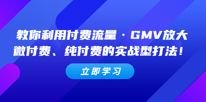 （5106期）教你利用付费流量·GMV放大，微付费、纯付费的实战型打法！