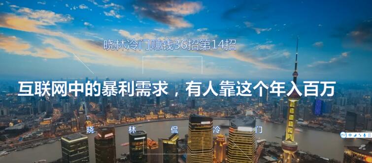 晓林冷门赚钱36招第14招互联网中的暴利需求，有人靠这个年入百万【视频课程】