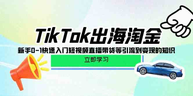 （10035期）TikTok-出海淘金，新手0-1快速入门短视频直播带货等引流到变现的知识