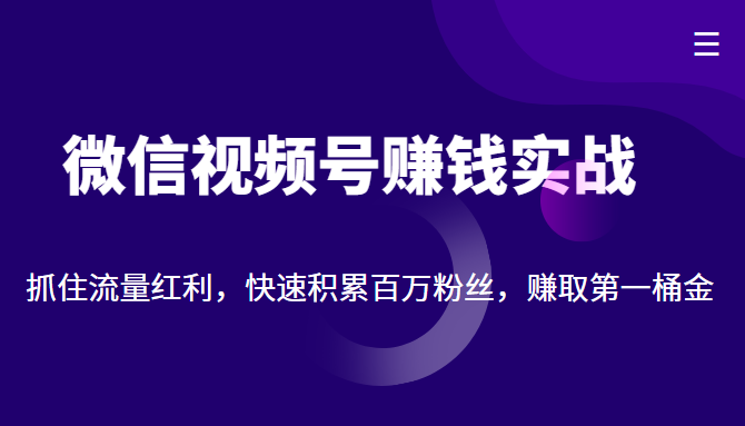 微信视频号赚钱实战：抓住流量红利，快速积累百万粉丝，赚取你的第一桶金