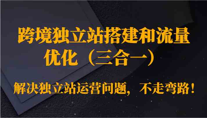 跨境独立站搭建和流量优化（三合一）解决独立站运营问题，不走弯路！