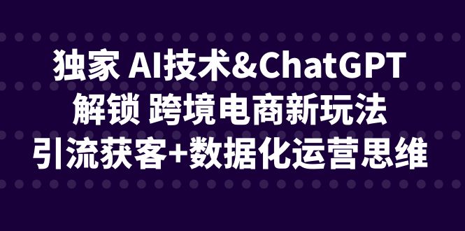 独家 AI技术&ChatGPT解锁 跨境电商新玩法，引流获客+数据化运营思维