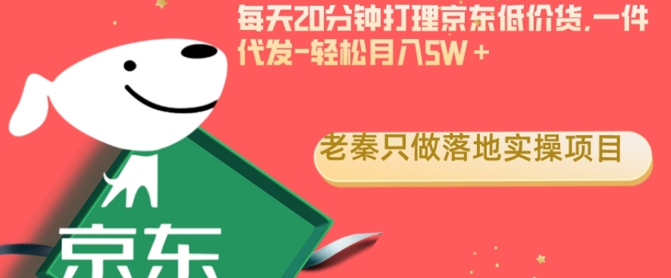 每天20分钟打理京东低价货，一件代发-轻松月入5W＋