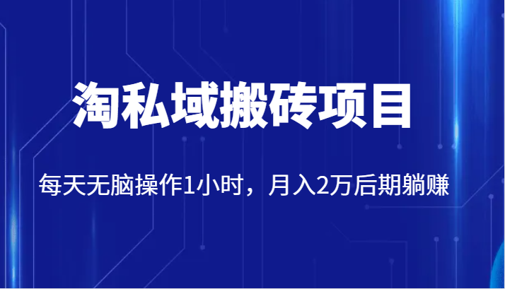 价值2980的淘私域搬砖项目，每天无脑操作1小时，月入2万后期躺赚