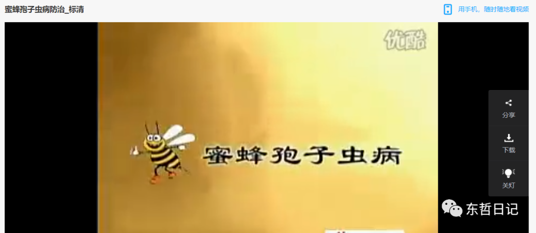 （6371期）东哲日记：全网首创实物虚拟电商项目，速来捡钱，成本低，一单赚几十块！