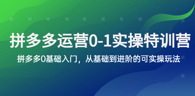 （5747期）拼多多-运营0-1实操训练营，拼多多0基础入门，从基础到进阶的可实操玩法