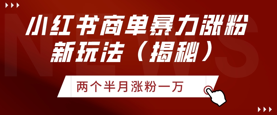 小红书商单暴力涨粉新玩法两个半月涨粉一万（揭秘）