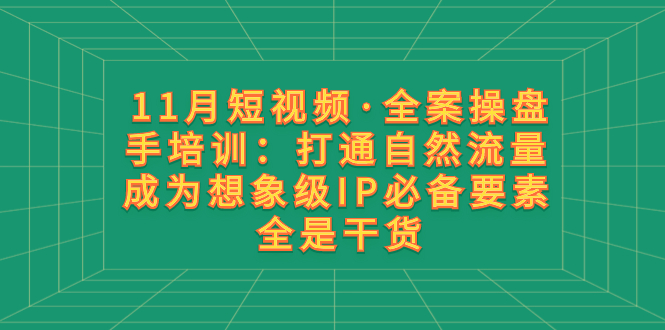 （8182期）11月短视频·全案操盘手培训：打通自然流量 成为想象级IP必备要素 全是干货