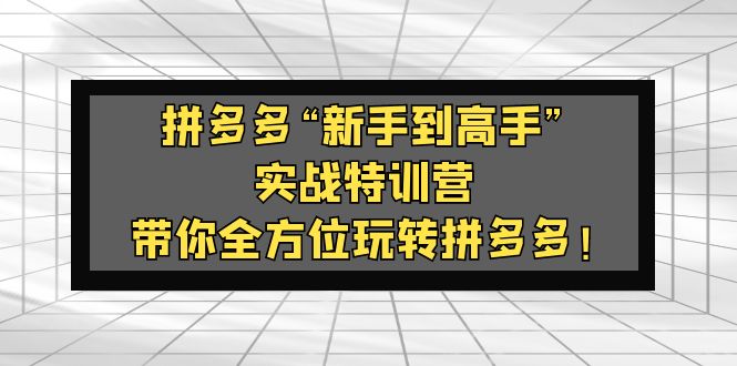 （5173期）拼多多“新手到高手”实战特训营：带你全方位玩转拼多多！