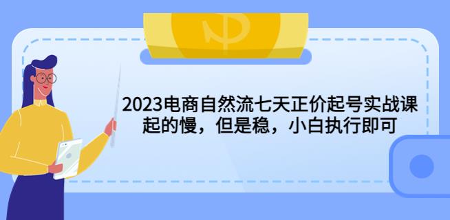 2023电商自然流七天正价起号实战课：起的慢，但是稳，小白执行即可！