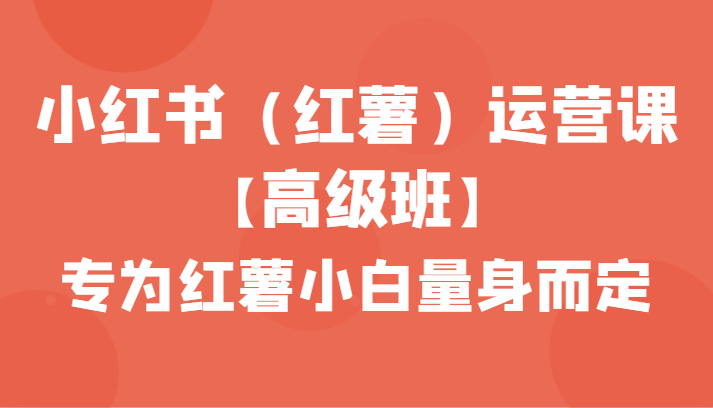 小红书（红薯）运营课【高级班】，专为红薯小白量身而定（42节课）