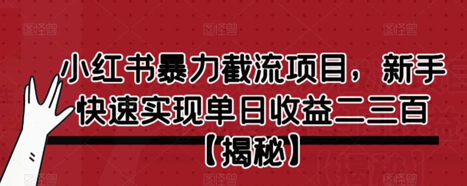 小红书暴力截流项目，新手快速实现单日收益二三百【仅揭秘】