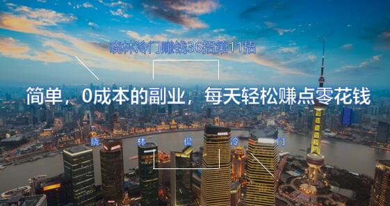 晓林冷门赚钱36招第11招简单，0成本的副业，每天轻松赚点零花钱【视频课程】