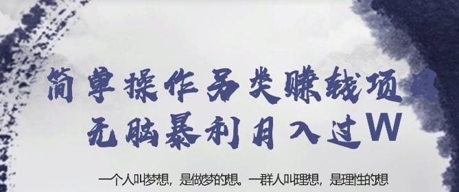 忠余网赚32计第二十计：简单操作另类赚钱项目无脑暴利月入过万【视频课程】