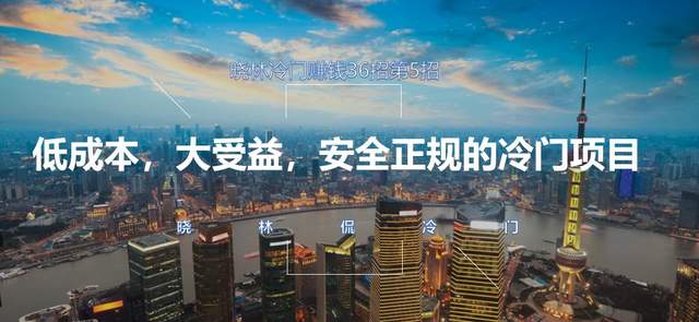 晓林冷门赚钱36招第5招低成本，大收益，安全正规的冷门项目【视频课程】