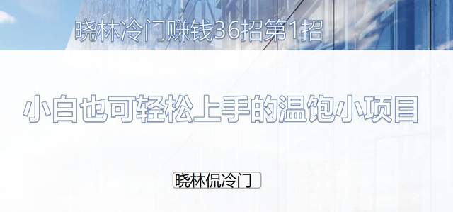 晓林冷门赚钱36招第1招：小白也可轻松上手的温饱小项目【视频课程】