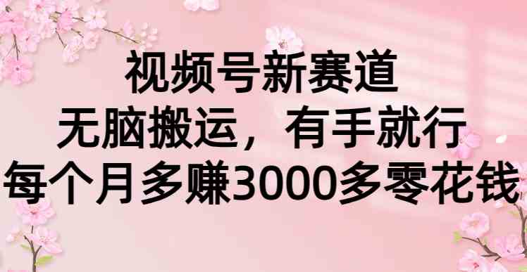 （9277期）视频号新赛道，无脑搬运，有手就行，每个月多赚3000多零花钱