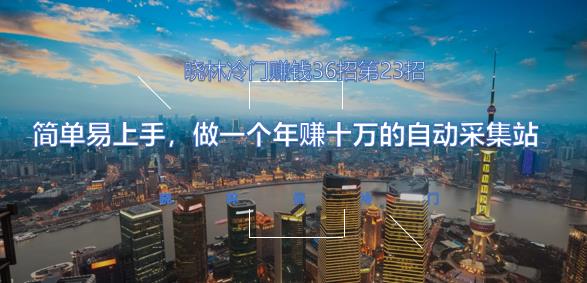 晓林冷门赚钱36招第23招简单易上手，做一个年赚十万的自动采集站【视频课程】