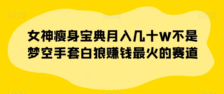 女神瘦身宝典月入几十W不是梦空手套白狼赚钱最火的赛道【揭秘】