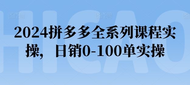 2024拼多多全系列课程实操，日销0-100单实操【必看】