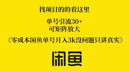 零成本闲鱼单号月入3k没问题只讲真实