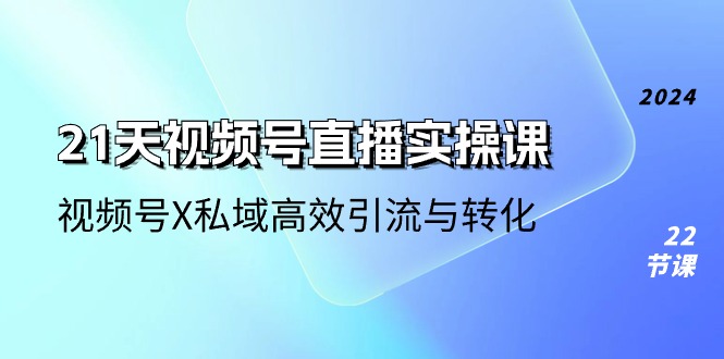 （10966期）21天-视频号直播实操课，视频号X私域高效引流与转化（22节课）