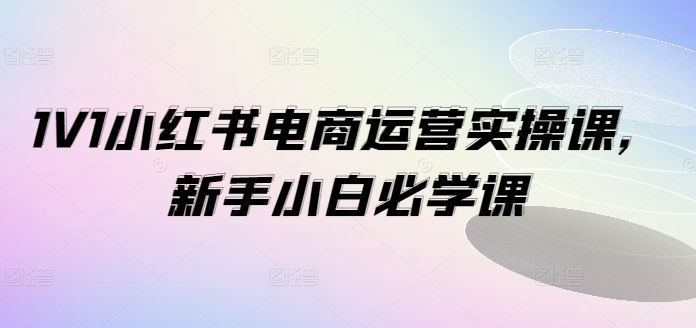 1V1小红书电商运营实操课，新手小白必学课