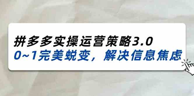 2024-2025拼多多实操运营策略3.0，0~1完美蜕变，解决信息焦虑（38节）